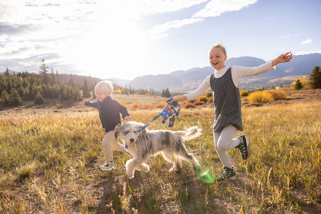 Two children running through a sun-drenched Summit County meadow with their dog