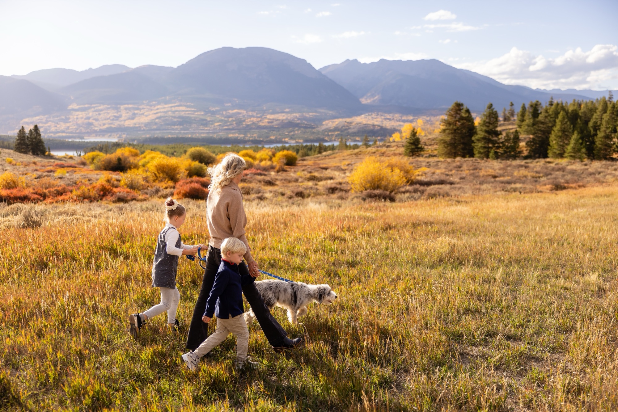 A mother walking through a golden autumn Summit County meadow with two kids and a dog
